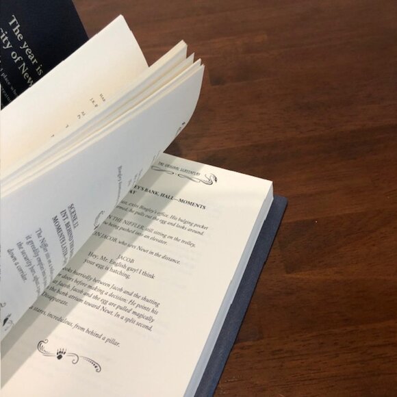 Fantastic Beasts And Where To Find Them: The Original Screenplay Book. - Picture 10 of 13